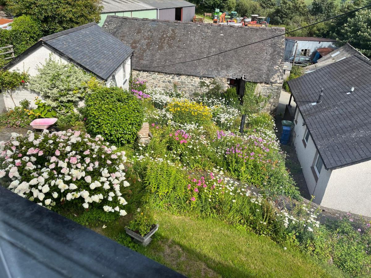 Staylittle Farm Dolgellau Exterior photo